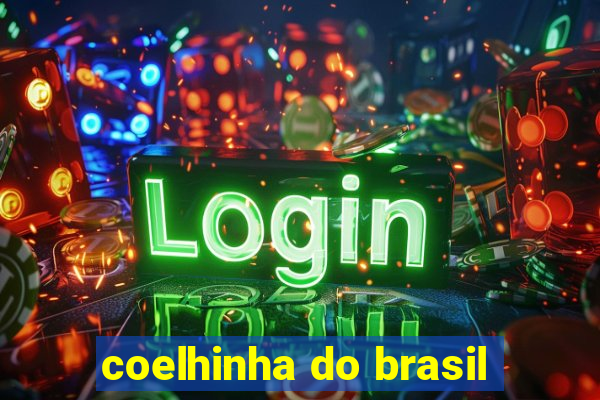 coelhinha do brasil